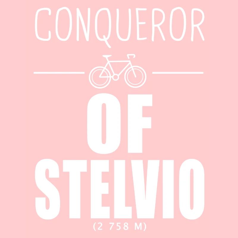 Conquérant du Stelvio cycliste Alpes