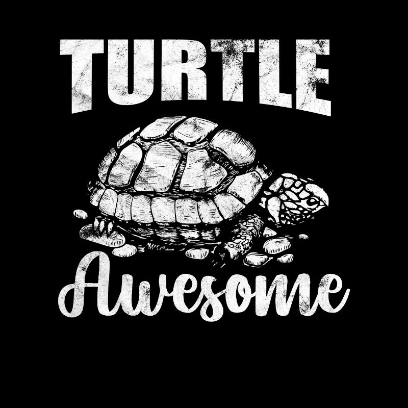 Turtle Turtles Vintage