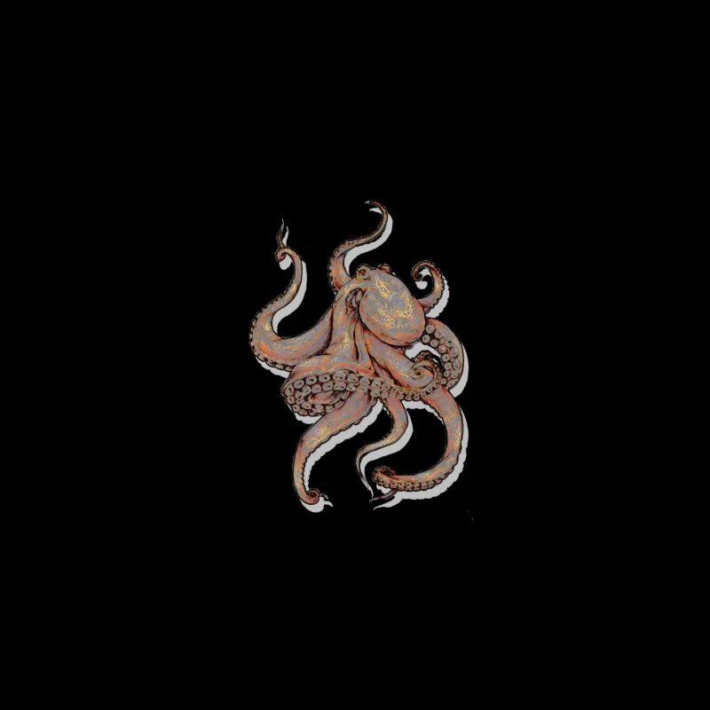 Octopus Octopoda Cadeaux de calmars seiches