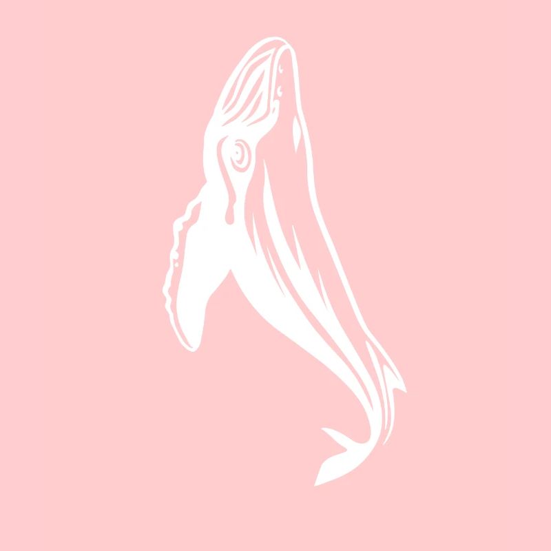 humpback whale