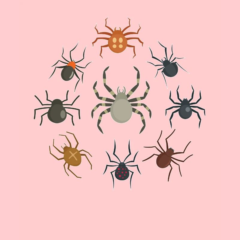 Les araignées