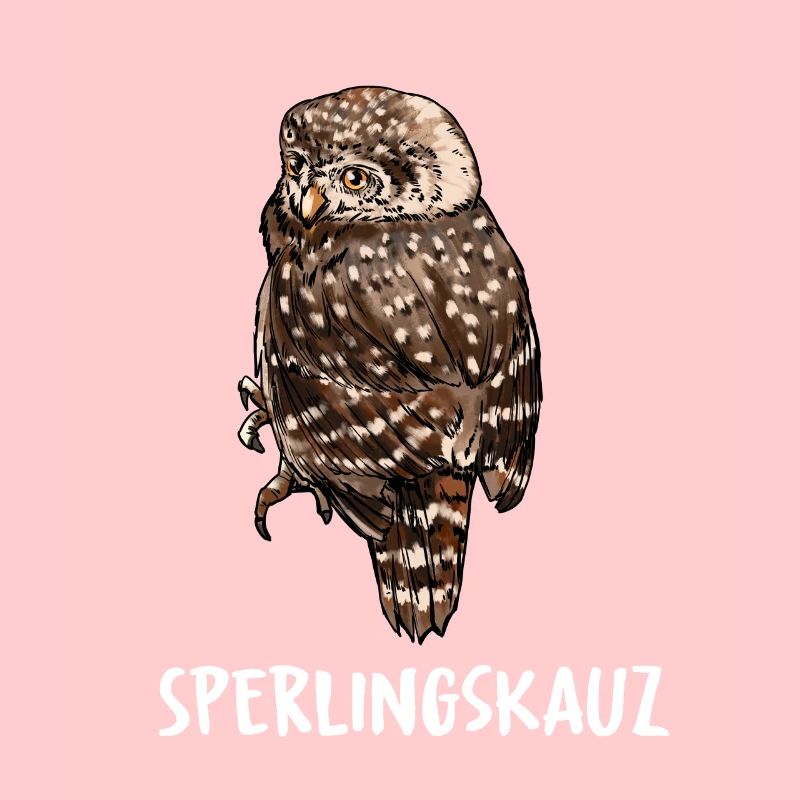 Sperlingskauz Eule Eulenart Eulen