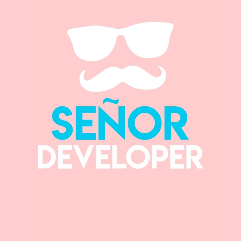 Senor Developer Computer Scientist Nerd Developer