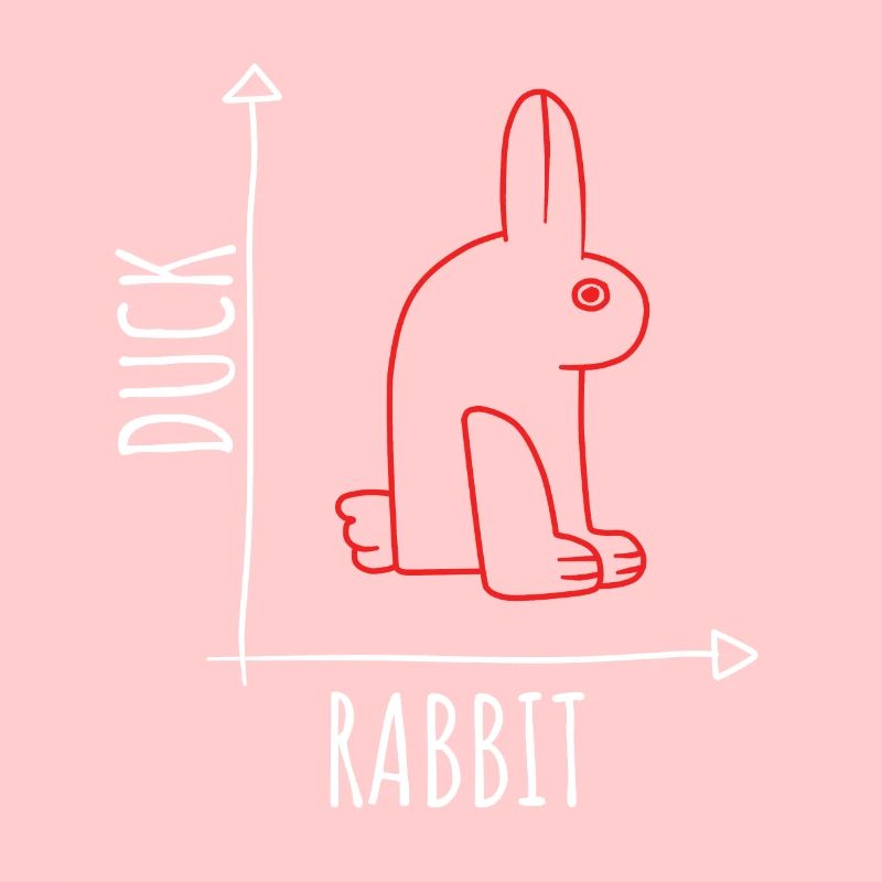 Optical Illusion Duck Rabbit Illusion Wittgenstein