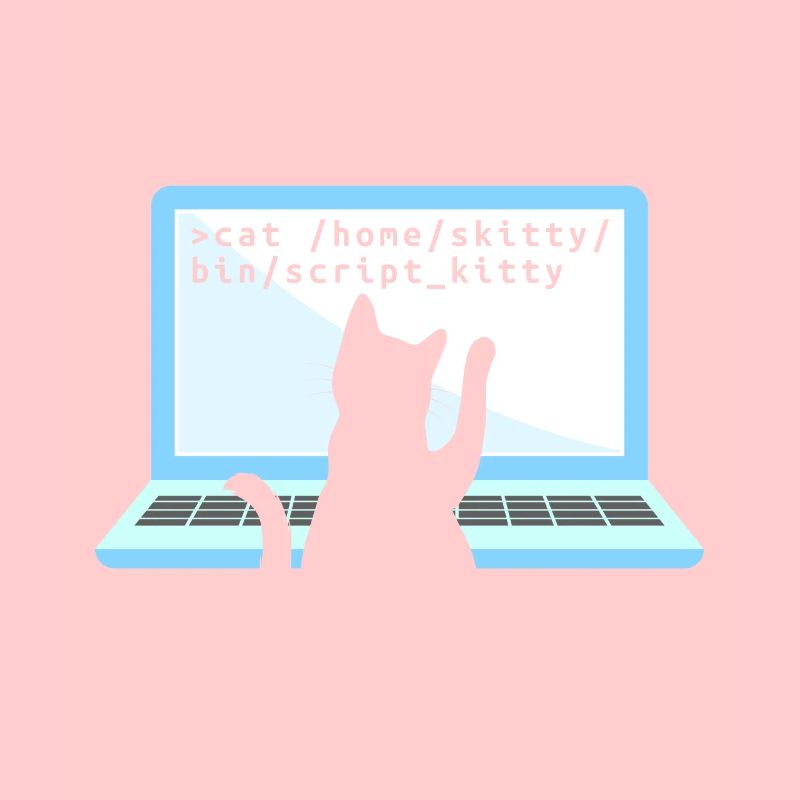 Katze als Programmierer Coder Katzenbesitzer