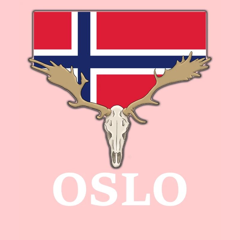 Norwegen Elche Flagge Expedition Oslo Urlaub