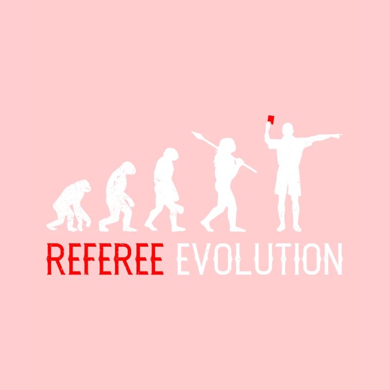 Arbitre Evolution Schiri