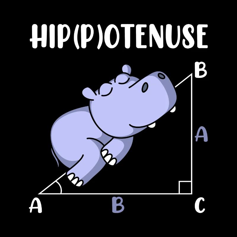Hippotenuse fun math math