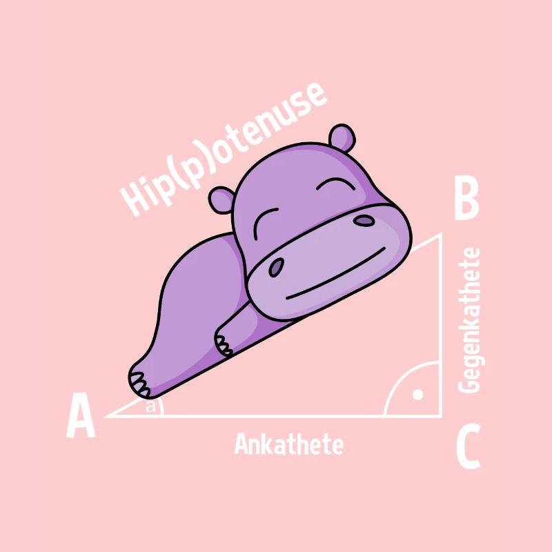 Mathelehrer Hipotenuse Mathe