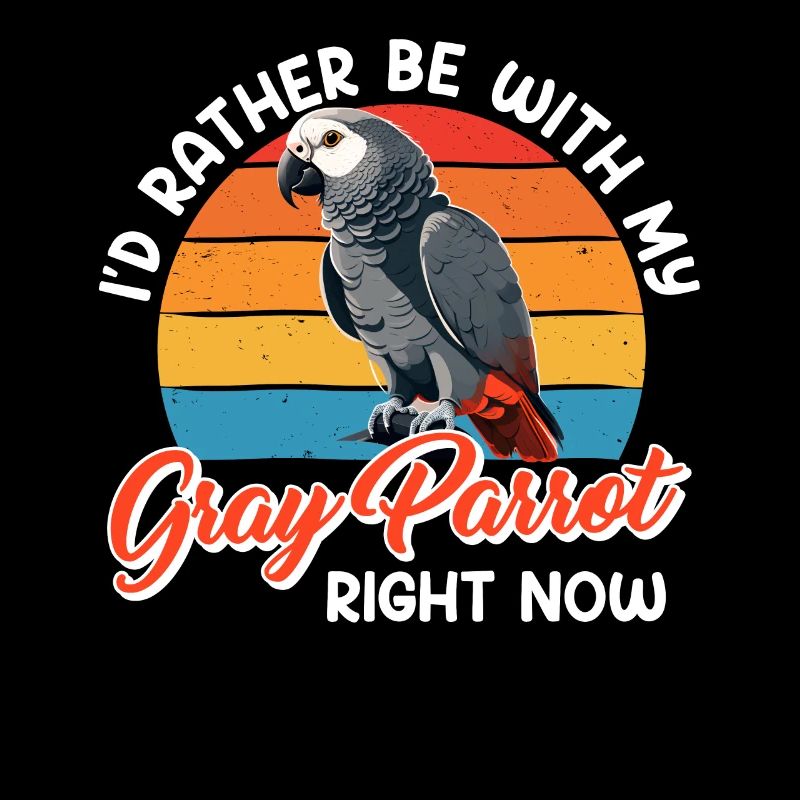 Perroquets Je préfère être avec mon perroquet gris