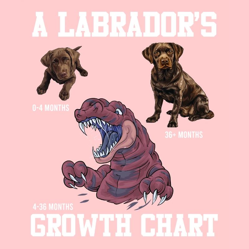 Labrador Lovers Labrador GROWTH CHART