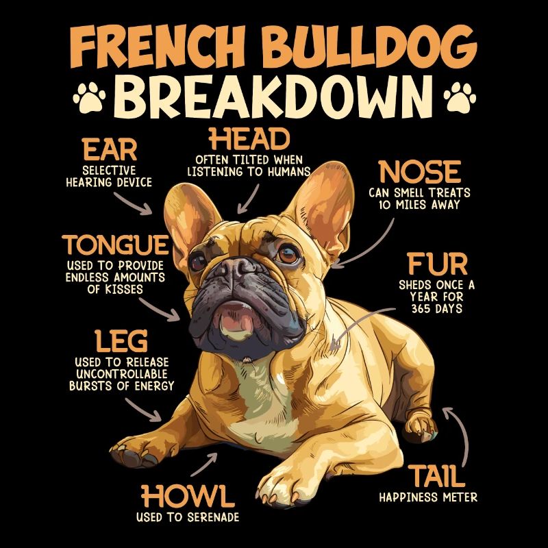 Frenchie PANNE DU BOULEDOGUE FRANÇAIS Drôle