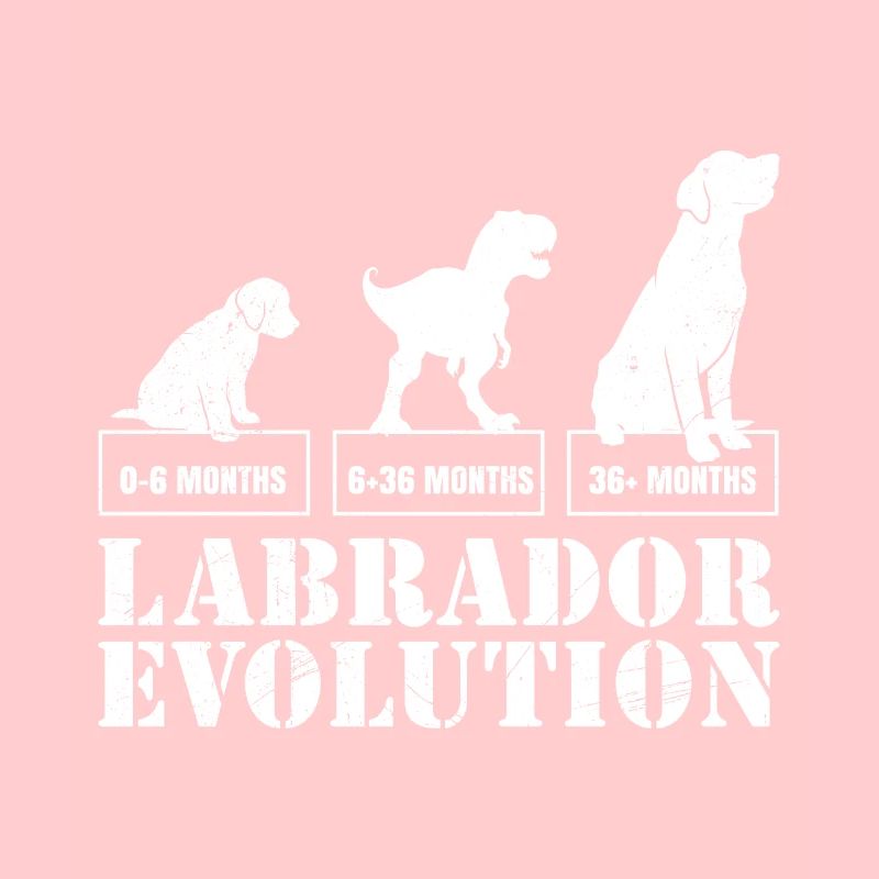 Labrador EVOLUTION Labrador Liebhaber Lustiges