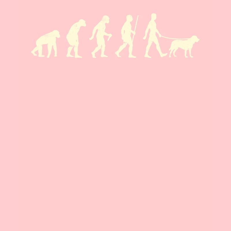 Labrador Fan LABRADOR EVOLUTION Funny Labrador