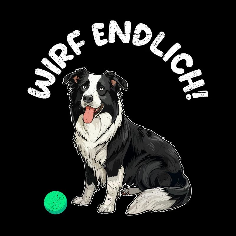 Le propriétaire du Border Collie ENFIN JETER ! Amusement