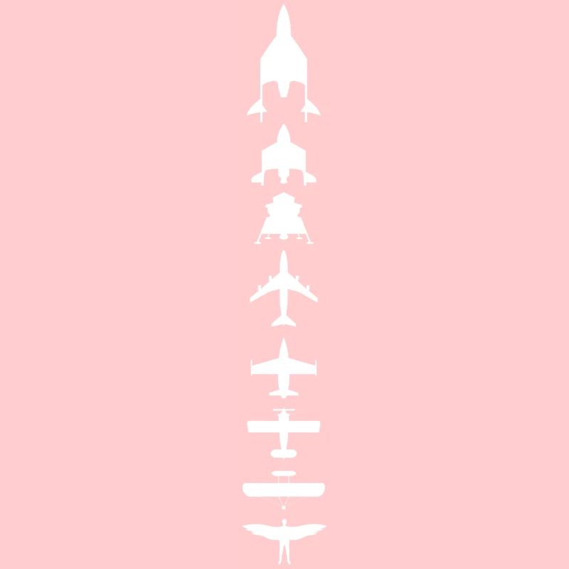 Evolution des Fliegens