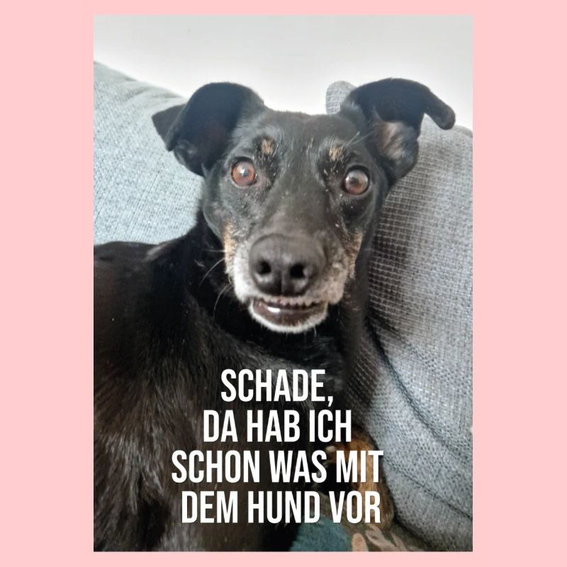 Da hab ich schon was vor