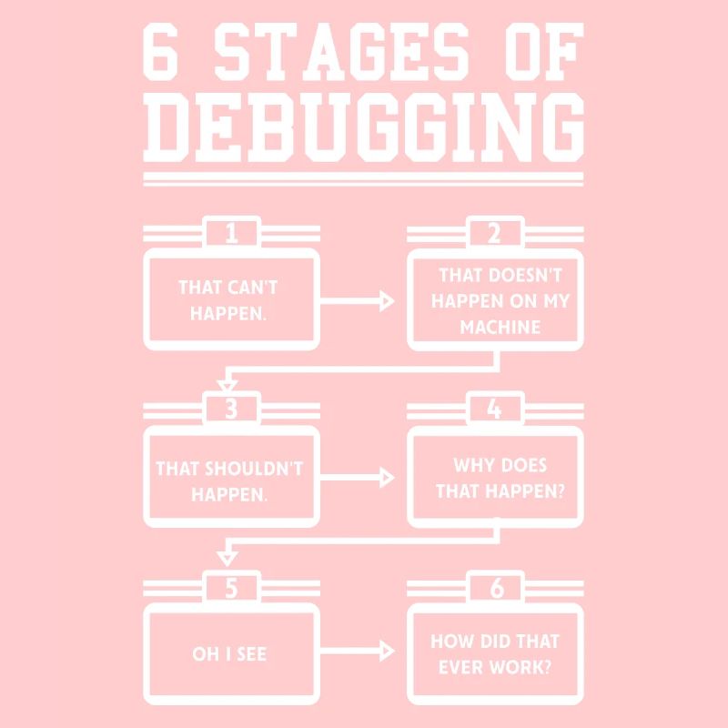 6 Stages of Debugging Programmer Software