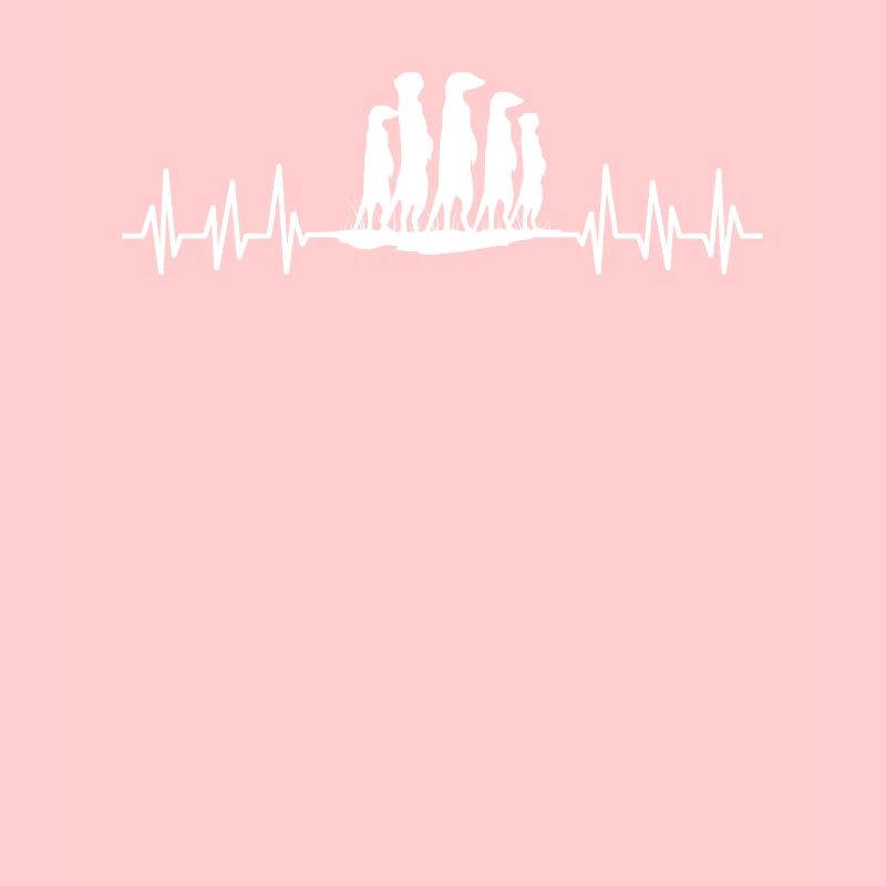 Fréquence des suricates