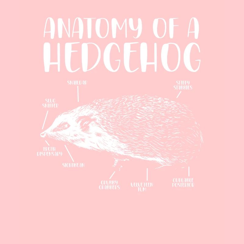 Anatomie d’un hérisson