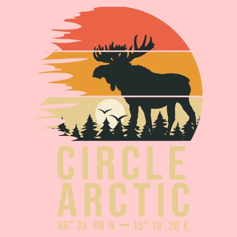 artic circle norway circle arctic norge