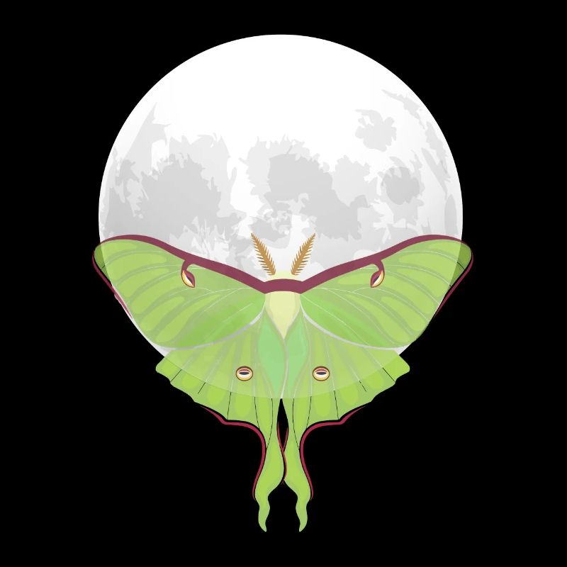 Actias luna - Papillon de nuit devant la Lune