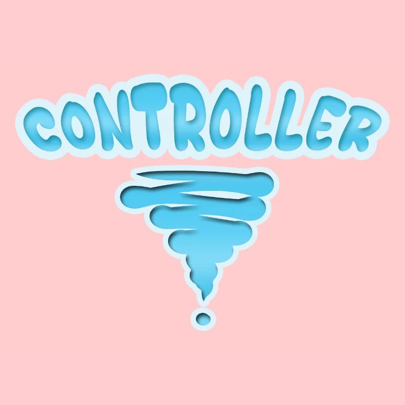 Controller as a profession