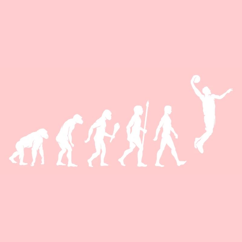 Basket-ball Evolution basket-ball cadeau