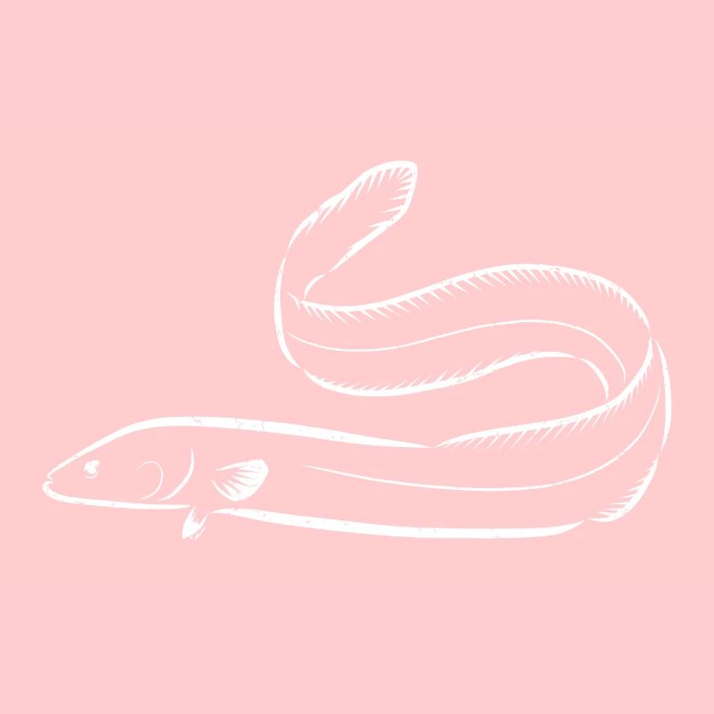 Eel fish