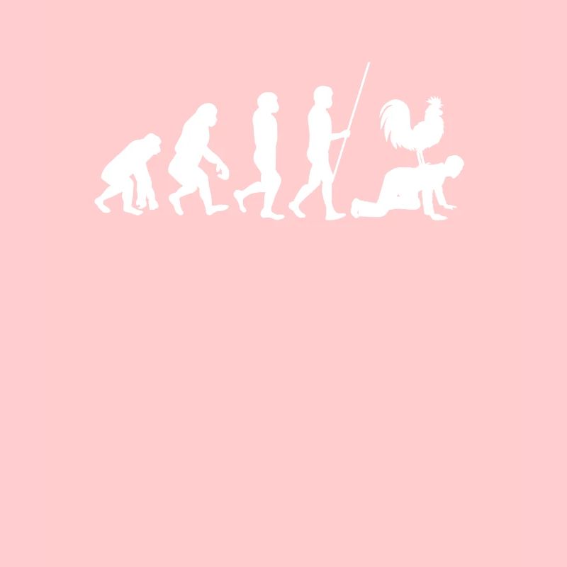 Zwerghühner Hühner Landwirt Huhn Evolution