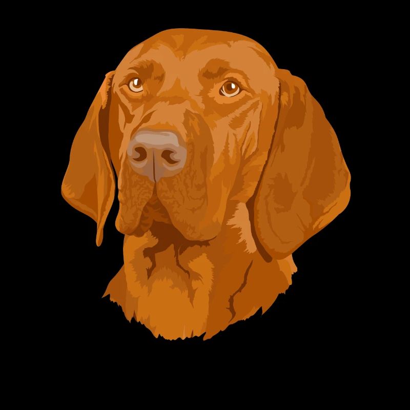Magyar Vizsla Shorthaired Hungarian Pointer