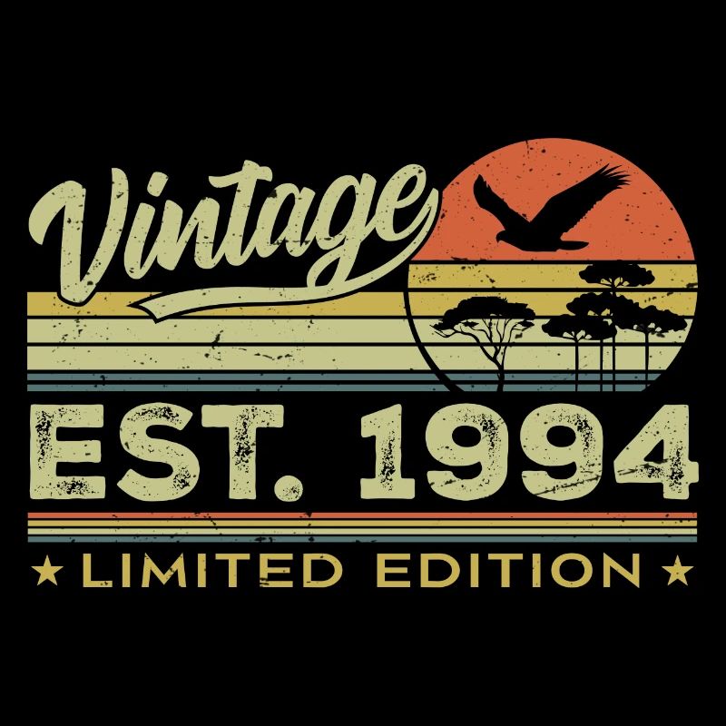 Vintage 1994 Awesome Since 1994 Gift 1994 Retro