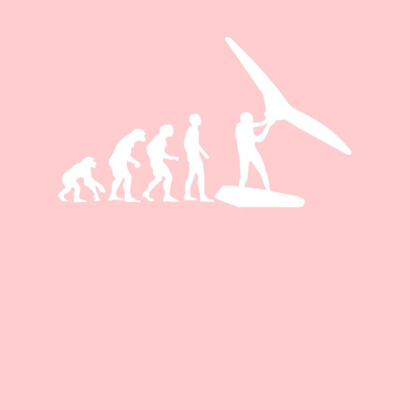 Wing Surf Evolution Wing Foil Geschenk Wingfoiler