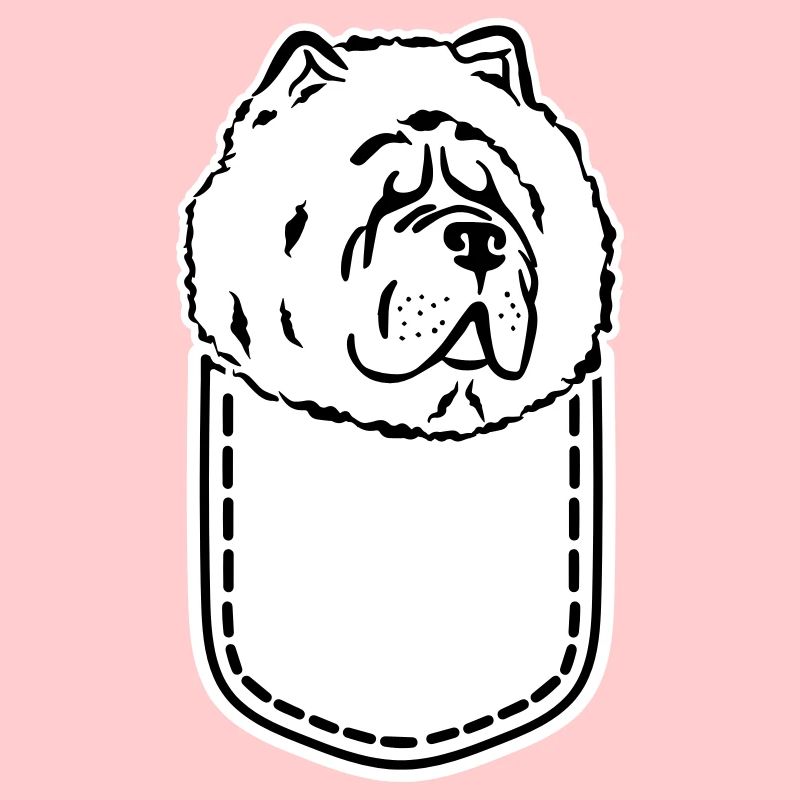 Chow Chow