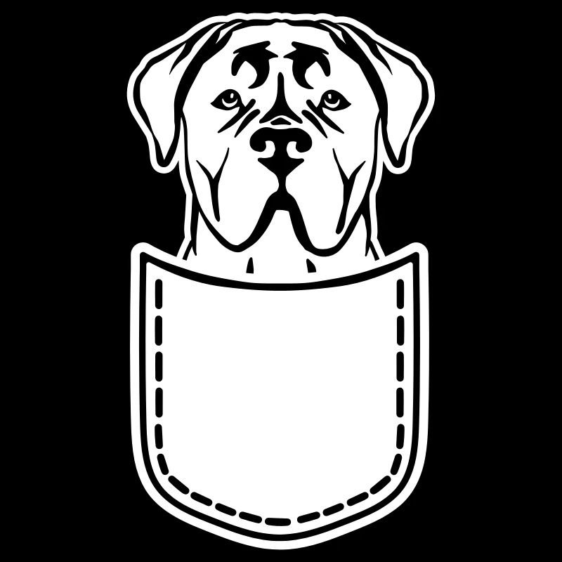 Cane Corso
