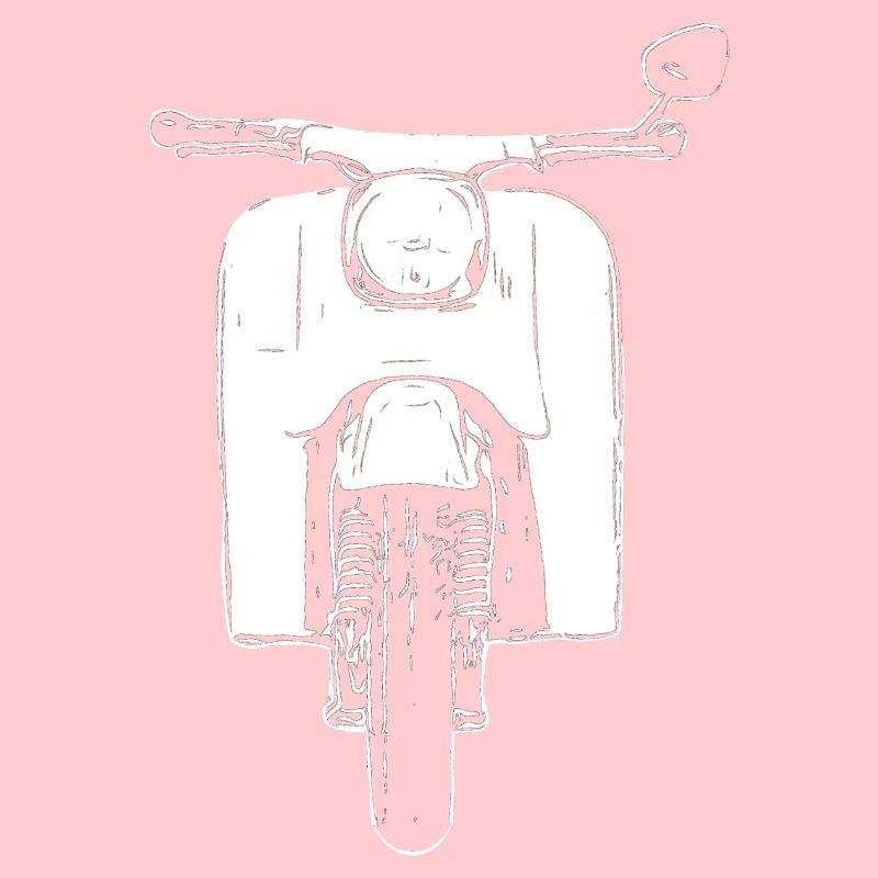 Schwalbe KR51 / Schwalbenfahrer / Ostalgie / Cyclomoteur