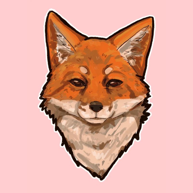 Fox head Foxhead Foxdrawing Art