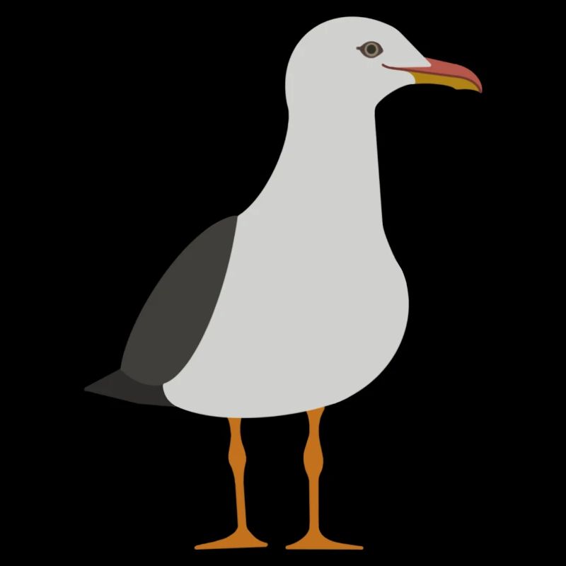 Möwe