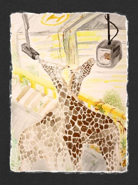 Giraffe im Neon-Transit