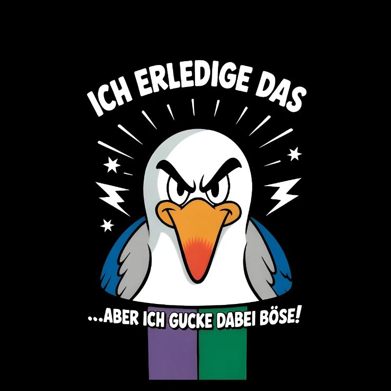 Möwe Ostsee Nordsee Urlaub Bin Da Kann Losgehen