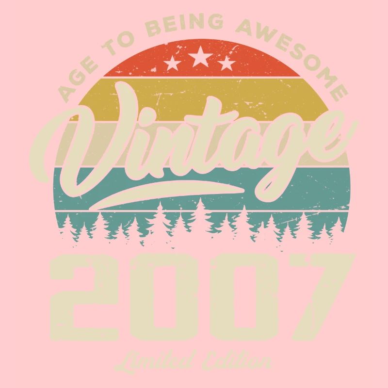 Vintage Retro Style Anniversary Gift 2007