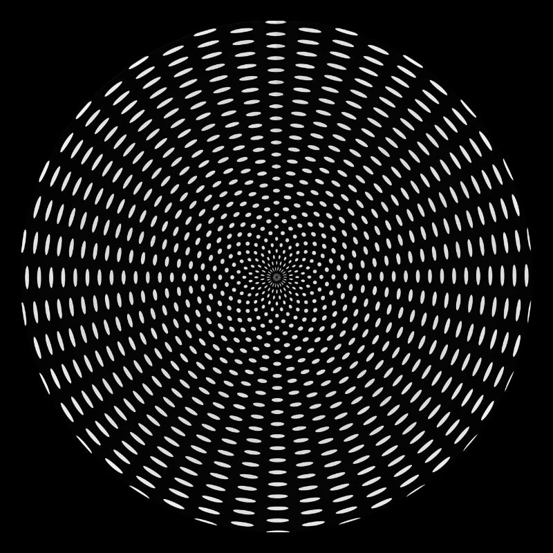 Optical Illusion Tunnel Gift