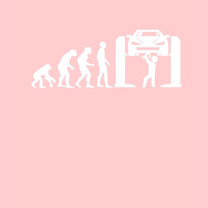 Automotive Mechanic Evolution
