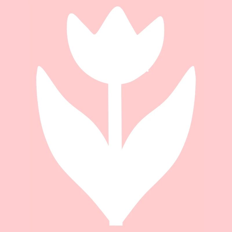 Fleur Blanche Fleur Tulipe Blanche