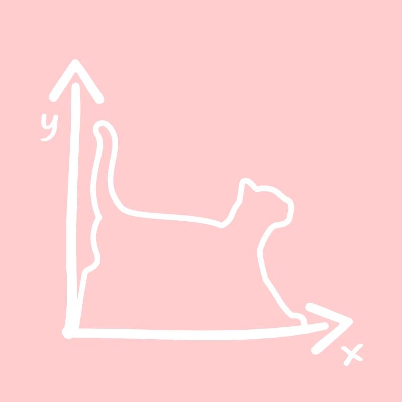 KATZE KATZEN KOORDINATENSYSTEM MATHE NERD GESCHENK