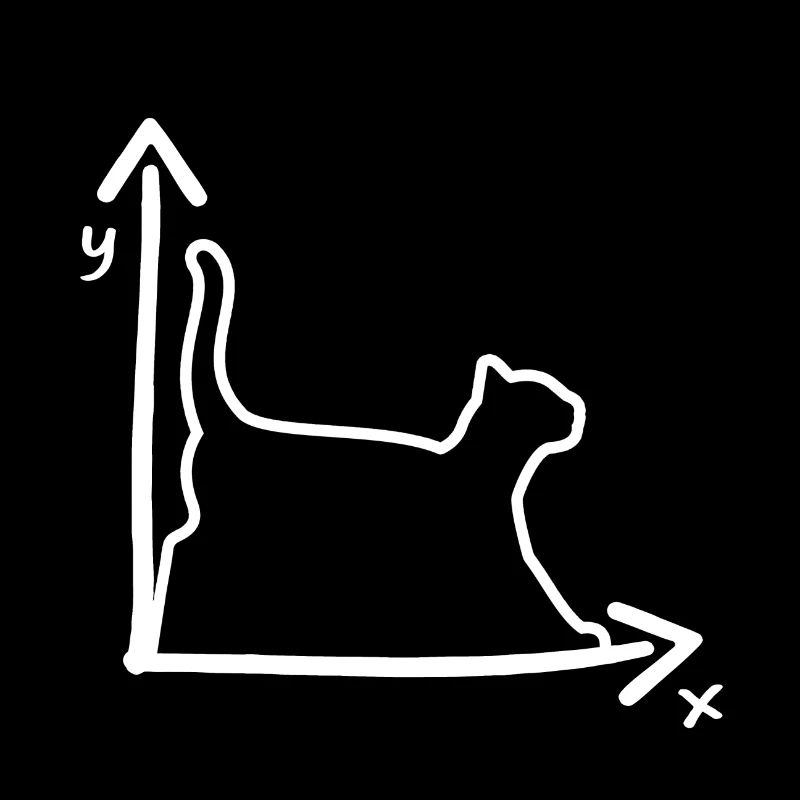 CAT CHATS COORDONNÉS MATH NERD CADEAU