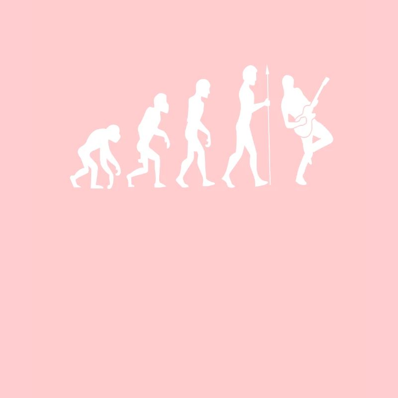 Evolution guitar guitarist gift idea