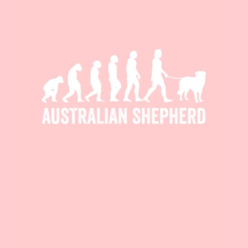 Australian Shepherd Evolution
