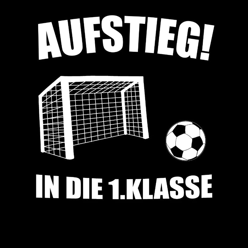 Aufstieg 1.Klasse Einschulung Junge Schulbeginn