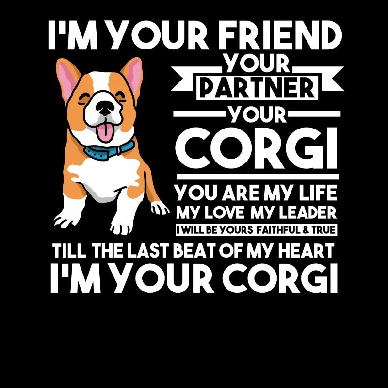 Corgi Corgi chien cadeau